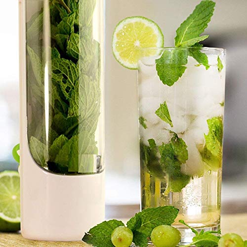 Best Storage Container for Freshest Produce