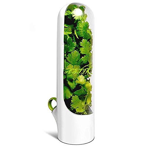 Best Storage Container for Freshest Produce